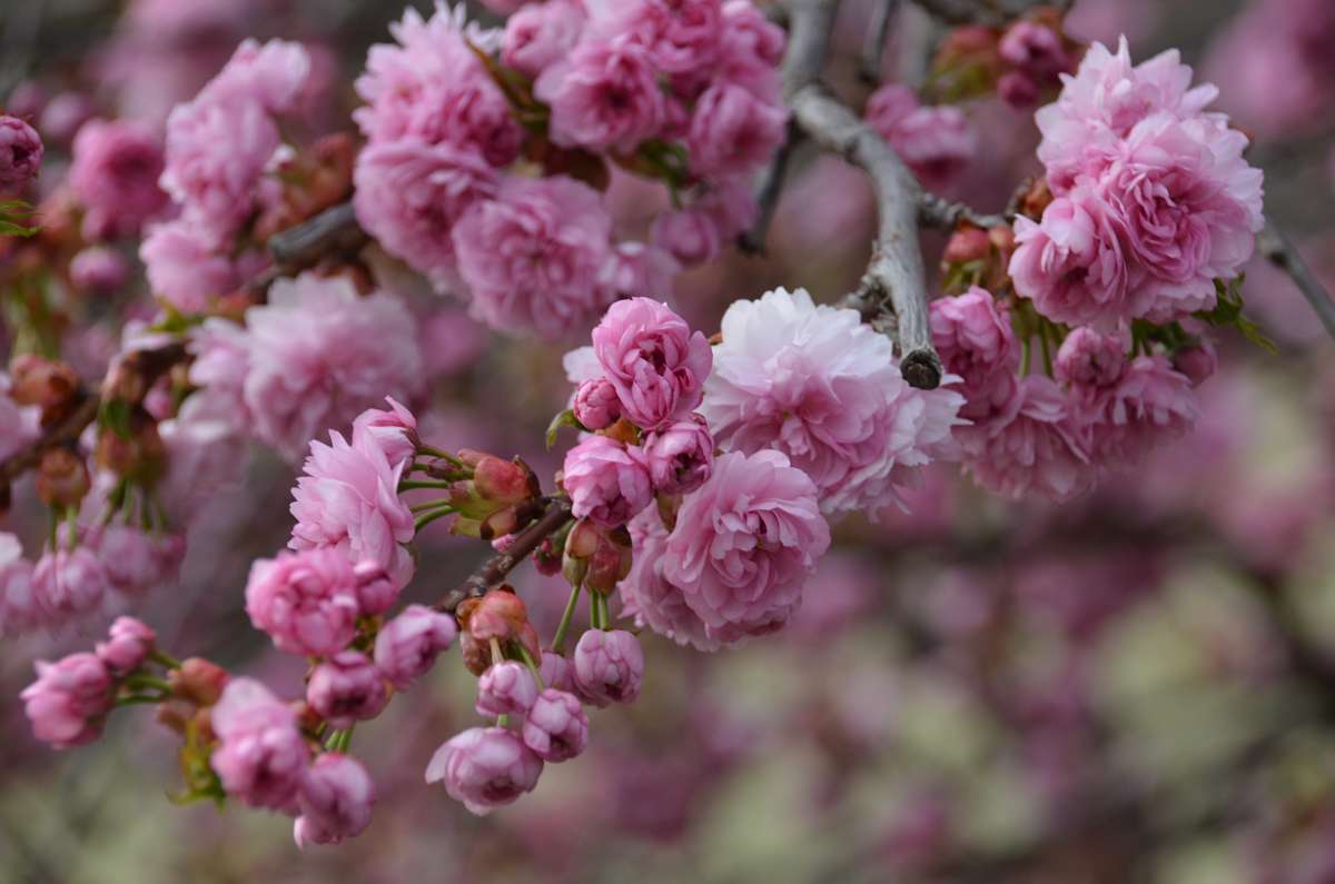 2014-03-31 16-30-38.JPG